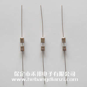 (xin)3.6*10mm 1A 